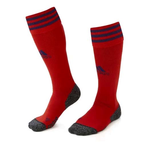 Calcetines Lyon Replica Segunda Ropa 2021/22 Rojo